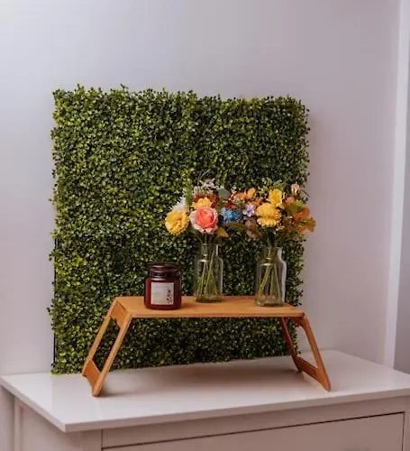 Sunny & Cozy - Netflix - Wifi - - 4 Person 에센